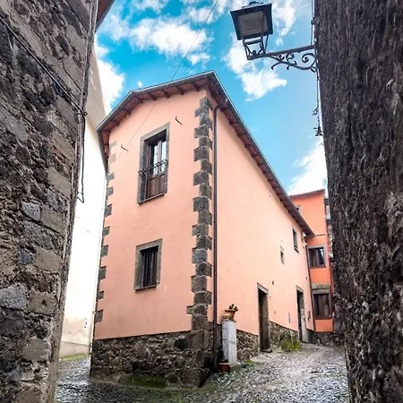 Sanadora Olistico 3*