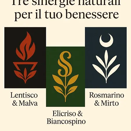 Sanadora Olistico